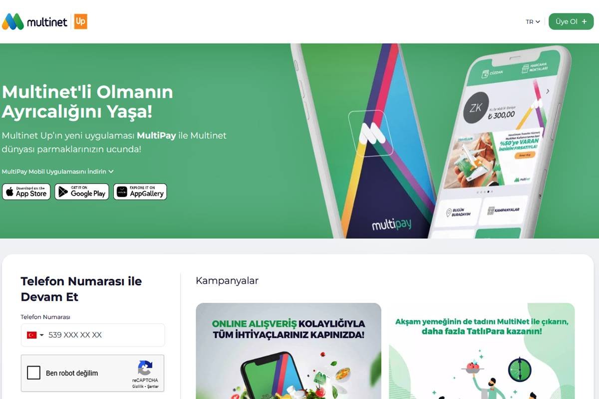 Multinet bakiye sorgulama